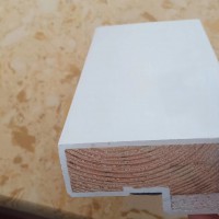 木質(zhì)防火門，河北防火門,生產(chǎn)防火門，閬閬防火門